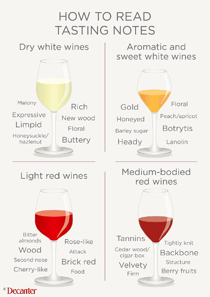 Wine Tasting Notes and Flavor Profile on the bottle label