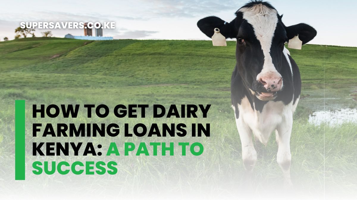 How to Get Dairy Farming Loans in Kenya: A Path to Success
