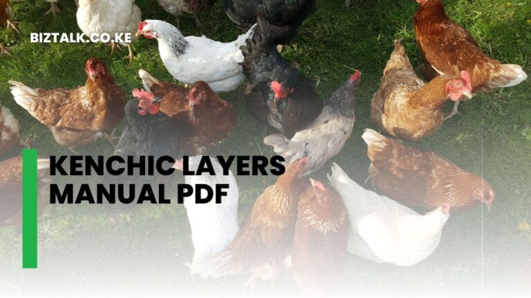 Kenchic Layers Manual Pdf