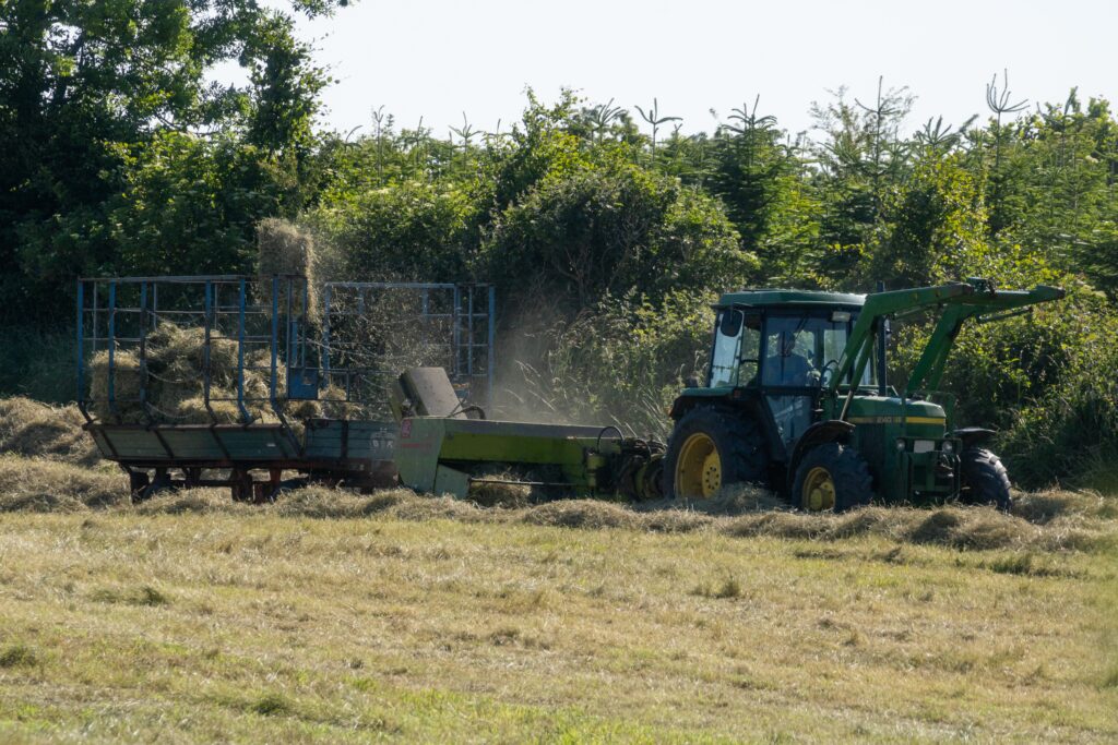 agribusiness