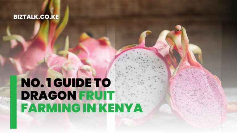 No. 1 Guide To Dragon Fruit Farming in Kenya