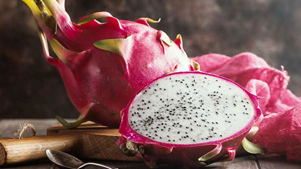 No. 1 Guide To Dragon Fruit Farming in Kenya