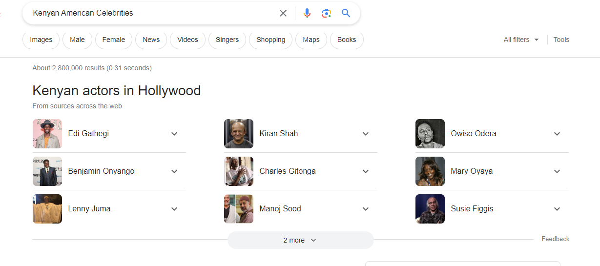 Kenyan American Celebrities You Didn’t Know